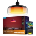 Govee - LED RGBICWW suspension dimmable sur câble LED/21W/230V mat Wi‑Fi