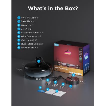 Govee - LED RGBICWW suspension dimmable sur câble LED/21W/230V mat Wi‑Fi