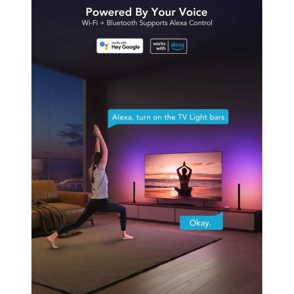 Govee - Panneau LED RGBIC intelligent 38 cm pour TV 43-75 - lot de 2 Wi-Fi