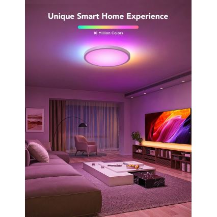 Govee - Plafonnier LED RGBICWW dimmable LED/29W/230V Ø 30 cm finition mate Wi‑Fi