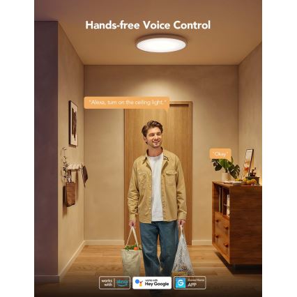 Govee - Plafonnier LED RGBICWW dimmable LED/29W/230V Ø 30 cm finition mate Wi‑Fi