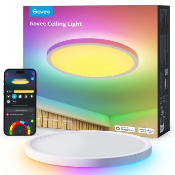Govee - Plafonnier LED RGBICWW dimmable LED/29W/230V Ø 30 cm finition mate Wi‑Fi