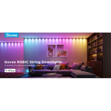 Govee - Spot sur câble LED RGBIC 5m Wi-Fi