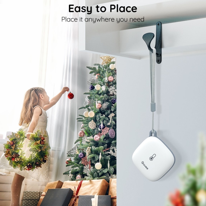 Govee - Thermomètre et hygromètre 3xAAA Wi-Fi