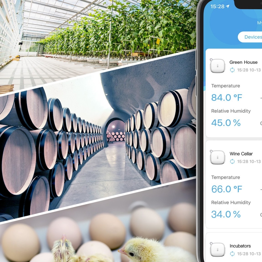 Govee - Thermomètre et hygromètre 3xAAA Wi-Fi