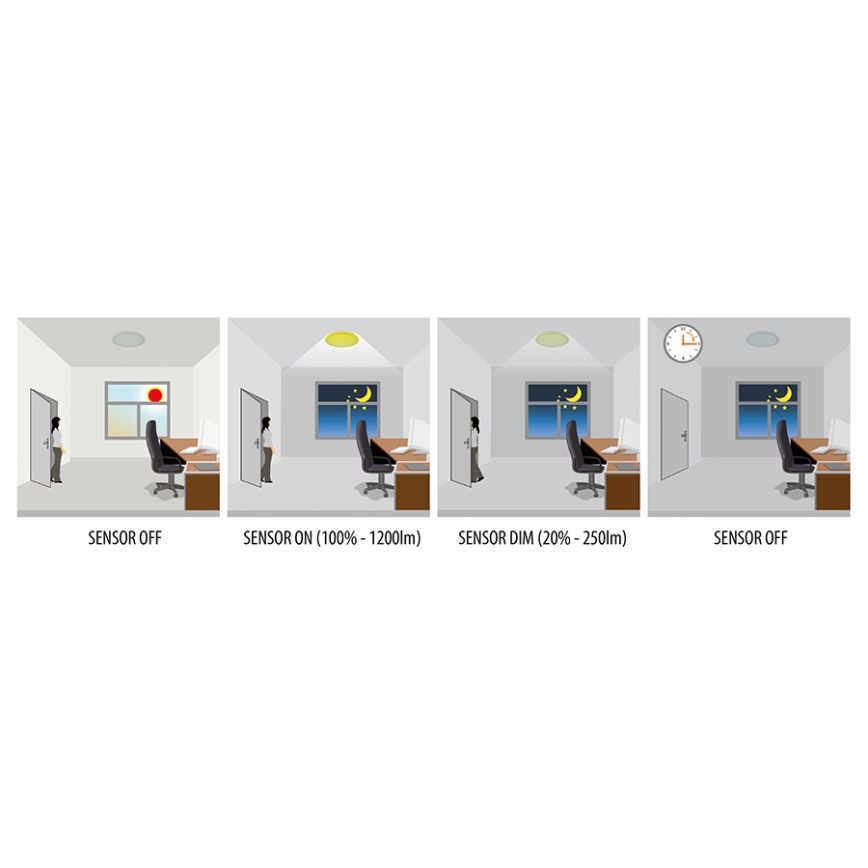 Greenlux GXPR084 - Luminaire LED extérieur avec détecteur RENO PROFI LED/16W IP66