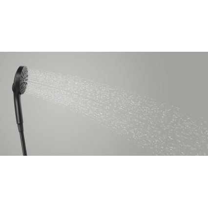 GROHE 1348632430 - Douchette VITALIO JOY+ 120 mm noire
