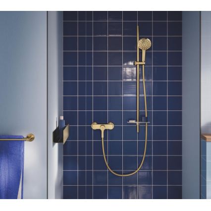 GROHE 134863GN00 - Douchette à main VITALIO JOY+ 120 mm, finition dorée brossée