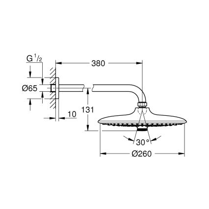 GROHE 26459000 - Tête de douche EUPHORIA 260 380 mm, chrome brillant