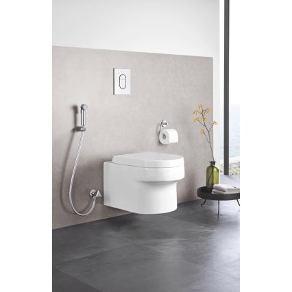 GROHE 27514001 - Douchette hygiénique manuelle TEMPESTA-F TRIGGER SPRAY 30 36 mm chromée