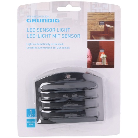 Grundig - Lampe d'orientation LED avec détecteur pour prise 1xLED/230V