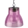 Grundig - Lampe solaire LED/1xAAA violette