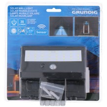 Grundig - Lampe solaire LED avec détecteur 1xLED/0,25W/1xAA