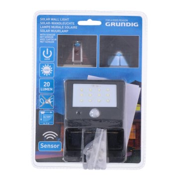 Grundig - Lampe solaire LED avec détecteur de mouvement et crépuscule LED/0,25W/1xAA 600 mAh