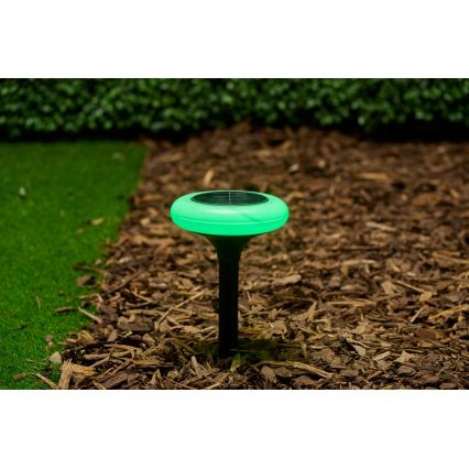 Grundig - Lampe solaire LED RGB 1,2 V 300 mAh