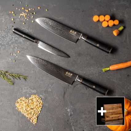 Gudaro - Ensemble de 3 couteaux de cuisine en acier damassé AKIRO + support magnétique