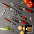 Gudaro - Ensemble de 5 couteaux de cuisine damassés MIYABI + support magnétique