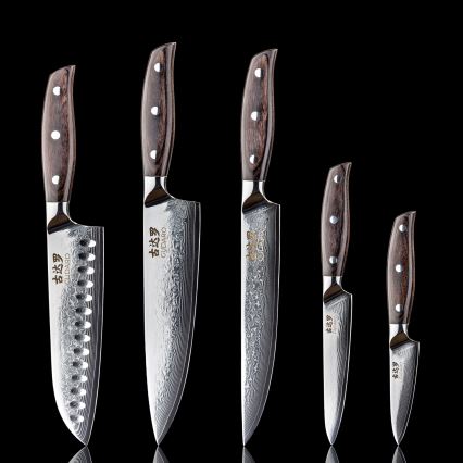 Gudaro - Ensemble de 5 couteaux de cuisine damassés SHIRO + support magnétique