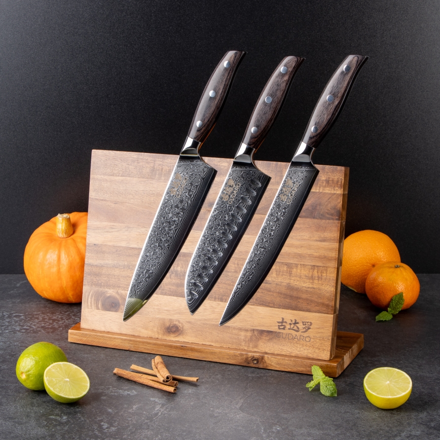 Gudaro - Ensemble de 5 couteaux de cuisine damassés SHIRO + support magnétique