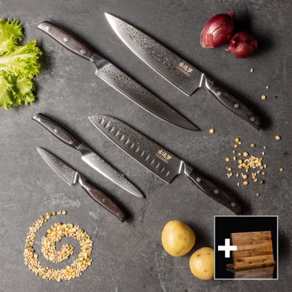 Gudaro - Ensemble de 5 couteaux de cuisine damassés SHIRO + support magnétique