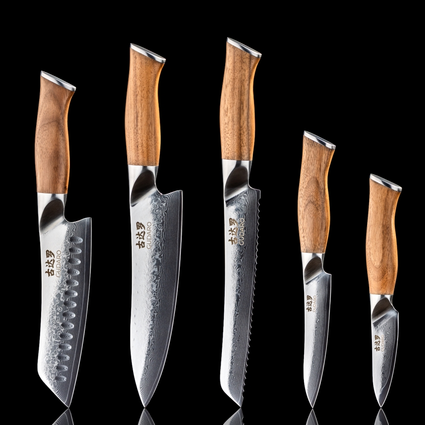 Gudaro - Ensemble de 5 couteaux de cuisine en acier damassé TAKUMI + support magnétique