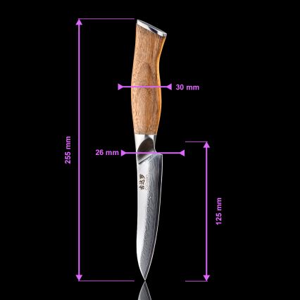 Gudaro - Ensemble de 5 couteaux de cuisine en acier damassé TAKUMI + support magnétique