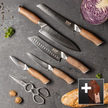 Gudaro - Ensemble de 5 couteaux de cuisine en acier damassé TAKUMI + support pour couteaux et ciseaux à volaille
