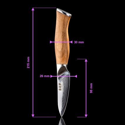 Gudaro - Ensemble de 5 couteaux de cuisine en acier damassé TAKUMI + support pour couteaux et ciseaux à volaille