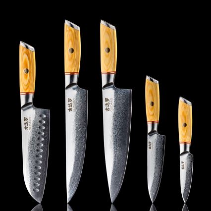 Gudaro - Lot de 5 couteaux de cuisine en acier damassé HIKARI + support magnétique pour couteaux