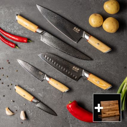 Gudaro - Lot de 5 couteaux de cuisine en acier damassé HIKARI + support magnétique pour couteaux