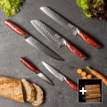 Gudaro - Lot de 5 couteaux de cuisine en acier damassé KENSHO + support magnétique