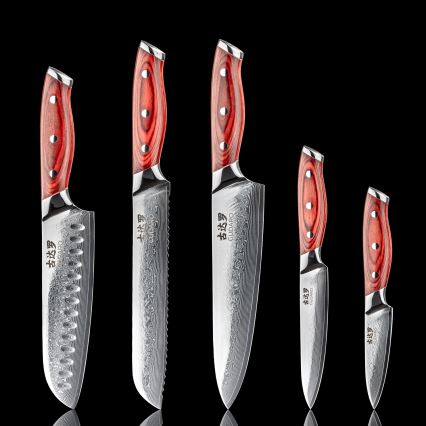 Gudaro - Lot de 5 couteaux de cuisine en acier damassé KENSHO + support magnétique