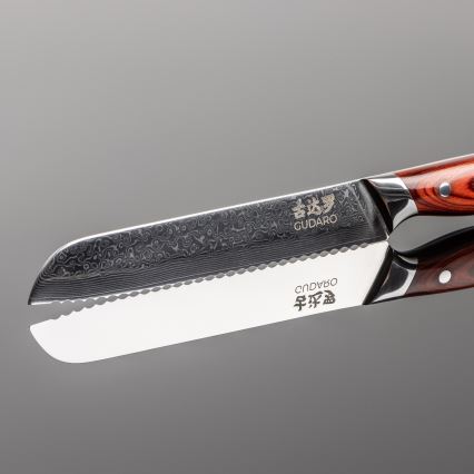 Gudaro - Lot de 5 couteaux de cuisine en acier damassé KENSHO + support magnétique