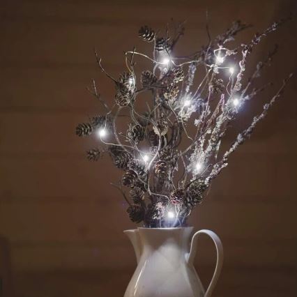 Guirlande de Noël 20xLED/2xAA 2,4m blanc froid