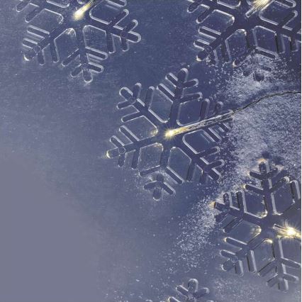 Guirlande de noël d'extérieur 8xLED/5,84m IP44 flocons