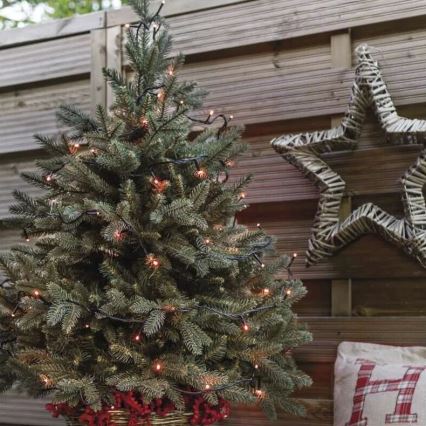 Guirlande de Noël extérieure 100xLED/10m IP44 rouge