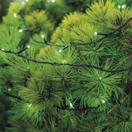 Guirlande de Noël extérieure 100xLED/10m IP44 vert