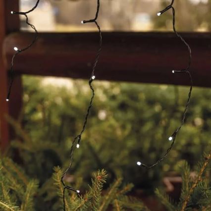 Guirlande de Noël extérieure 100xLED/2,5x0,9m IP44 blanc froid