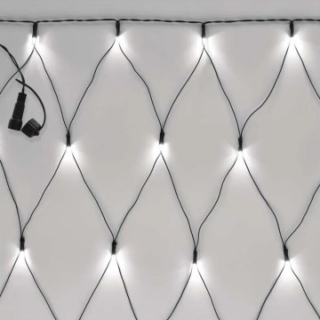 Guirlande de Noël extérieure 160xLED/2x1,5m IP44 blanc froid