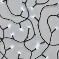 Guirlande de Noël extérieure 50xLED/5m IP44 blanc froid
