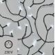 Guirlande de Noël LED 50xLED 4m blanc froid