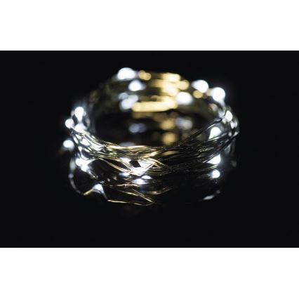 Guirlande de Noël LED extérieur 40xLED 9m IP44 blanc froid