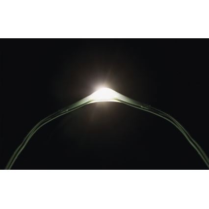 Guirlande de Noël LED extérieur 40xLED 9m IP44 blanc froid