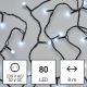 Guirlande de Noël LED extérieur 80xLED/13m IP44 blanc froid
