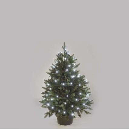 Guirlande LED d'extérieur 40 LED / 9 m IP44, blanc froid