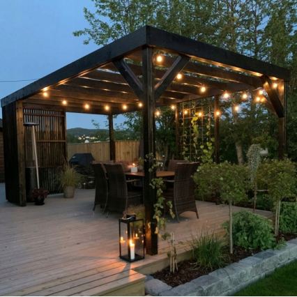 Guirlande LED d'extérieur décorative 20xE27/1W/230V 11,44 m IP44 noire