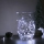 Guirlande lumineuse LED 50xLED/3xAA 5,25m blanc froid