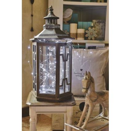 Guirlande lumineuse LED d'extérieur 100xLED/15m IP44 blanc froid