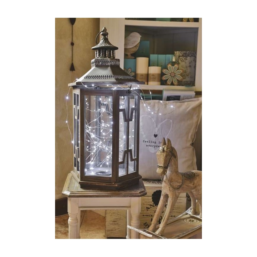 Guirlande lumineuse LED d'extérieur 100xLED/15m IP44 blanc froid