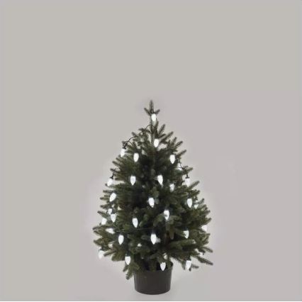 Guirlande lumineuse LED d'extérieur 50 LED, 8 fonctions, 14,8 m, IP44, blanc froid